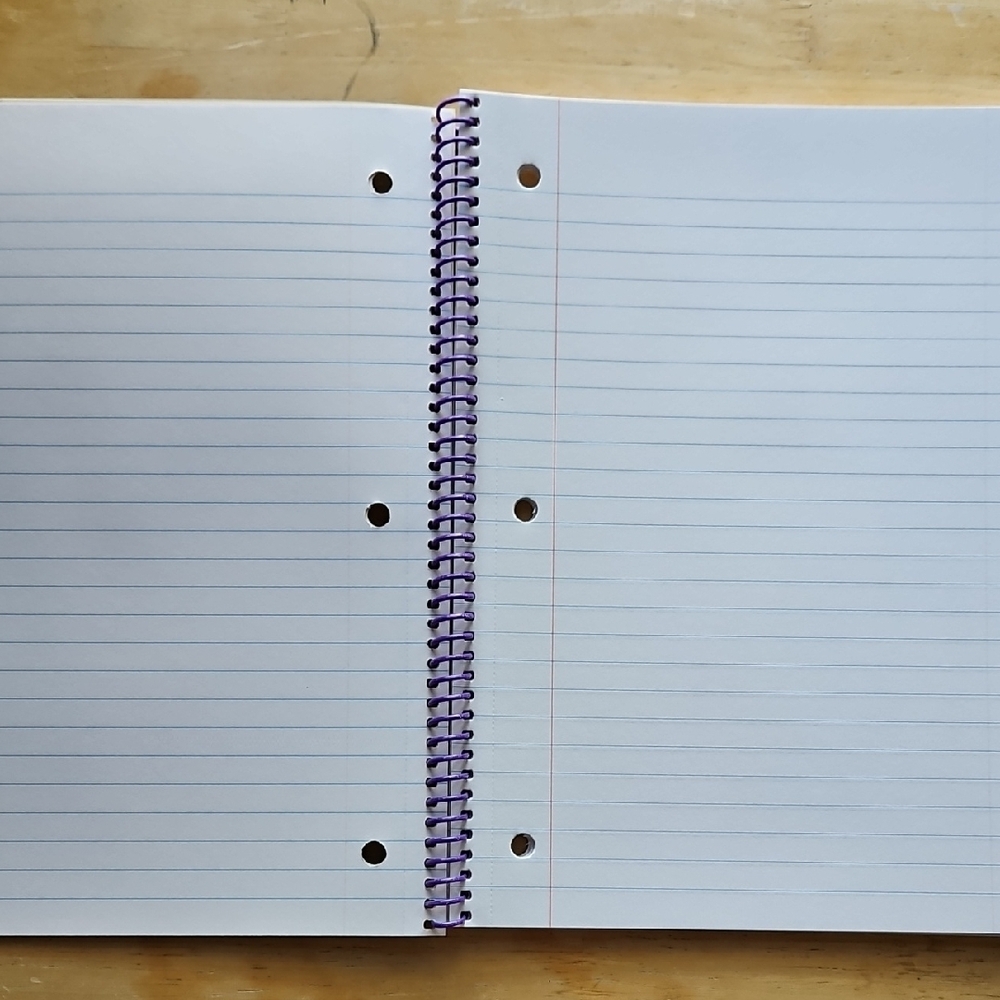 Disney Purple 'Girls Trip' Notebooks And Folder - Picture 7 of 10